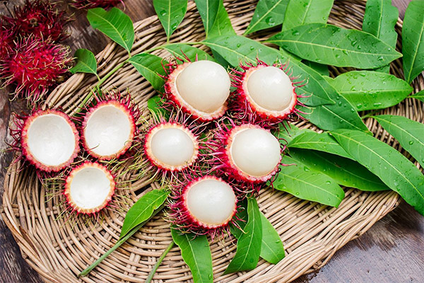 Utilisation du fruit du ramboutan en médecine