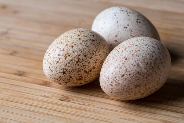 Verwendung von Puteiern in der Kosmetologie