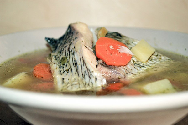 Soupe de carpe