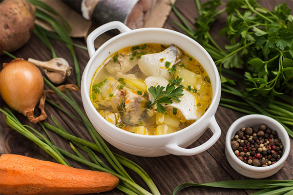 Soupe de poisson-loup