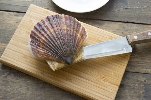 En quoi les coquilles Saint-Jacques sont-elles bénéfiques