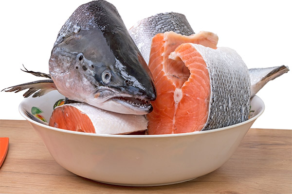 Que peut-on préparer avec du saumon