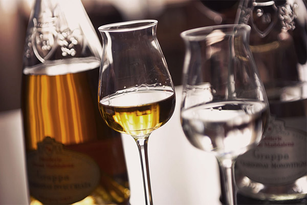 Comment boire la grappa