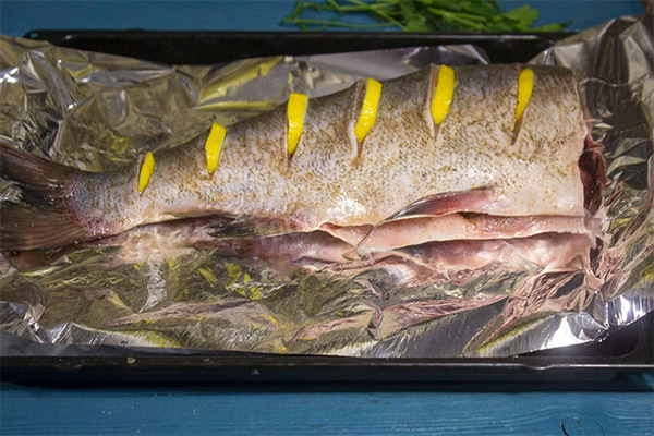 Silberkarpfen zubereiten