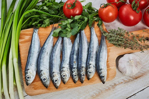 Comment cuisiner délicieusement le hareng de la Baltique