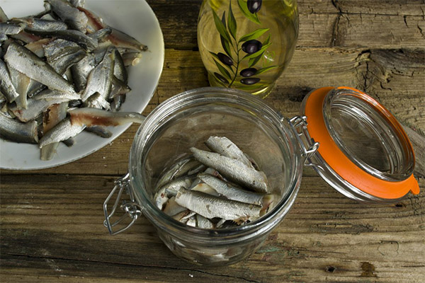 Comment saler le sprat