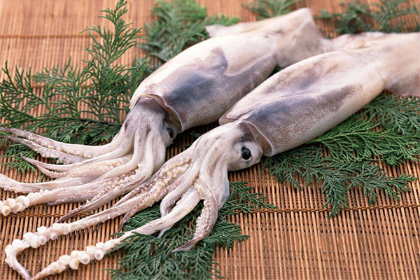 Quels fruits de mer peut-on consommer et lesquels sont déconseillés en cas de colite