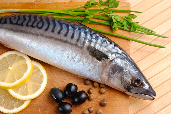 Quels poissons et fruits de mer peut-on consommer et lesquels éviter en cas de pancréatite ?