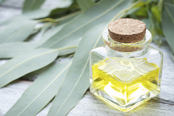 Huile d'eucalyptus