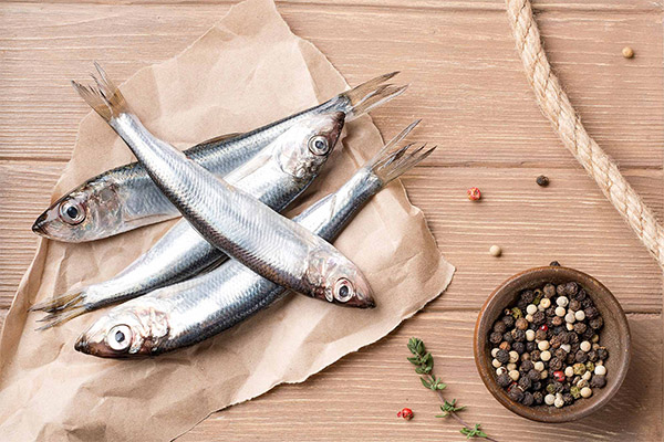 Bienfaits et méfaits du sprat