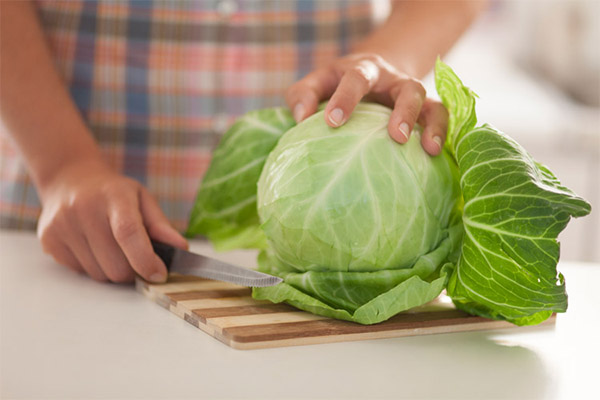 Utilisation des feuilles de chou en cuisine