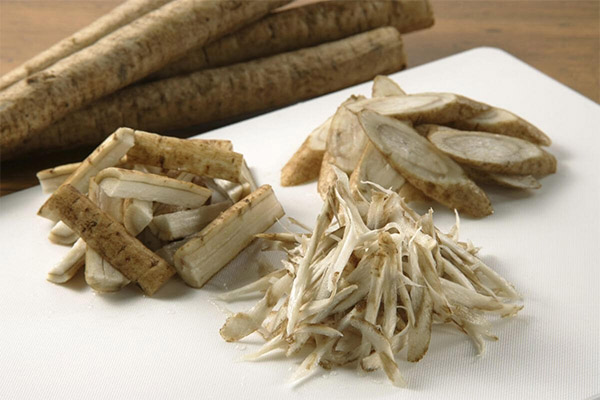 Utilisation de la racine de bardane en cuisine