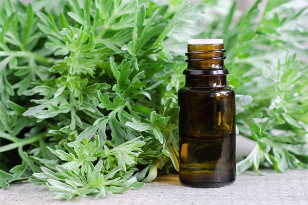 Utilisation de l'absinthe amère en cosmétologie