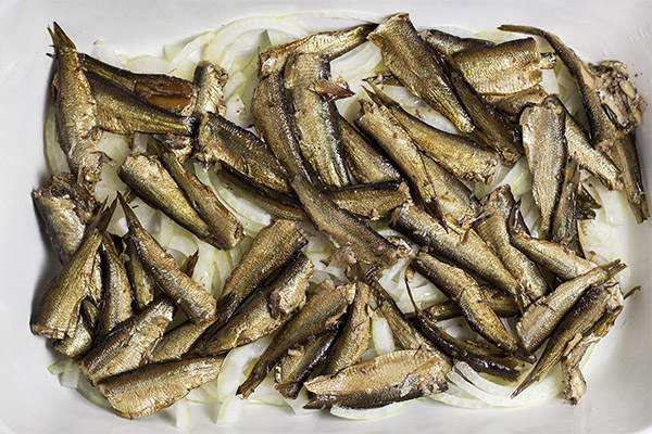 Sprats de hareng de la Baltique
