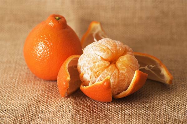 Quels sont les bienfaits du fruit Minneola ?