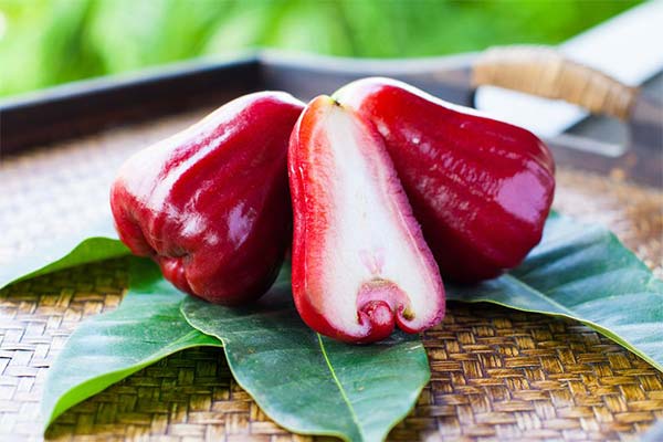 Quels sont les bienfaits du fruit chompu ?