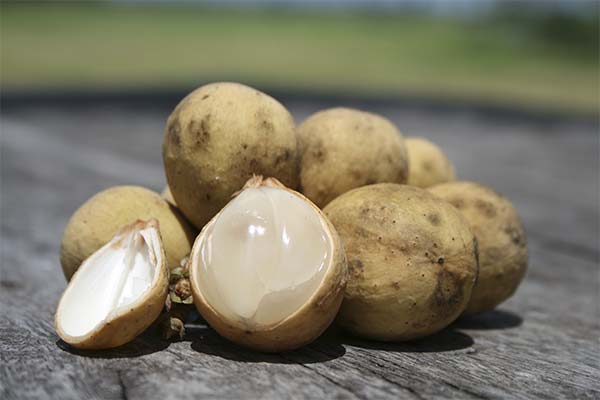 Quels sont les bienfaits du fruit langsat ?
