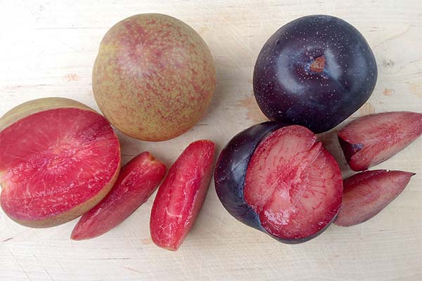 Quels sont les bienfaits du fruit plumcot ?