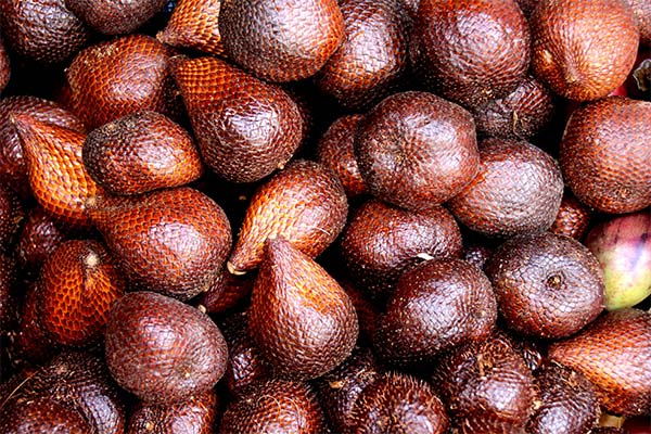 Que peut-on préparer avec le fruit salak ?