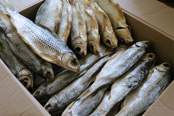 Stockage du poisson dans une caisse