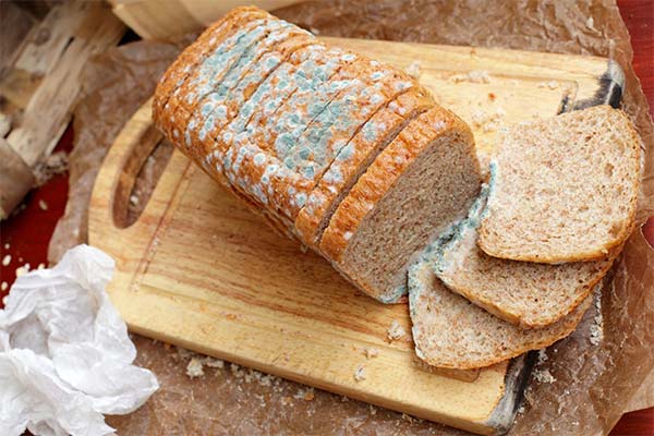 Anzeichen von verdorbenem Brot
