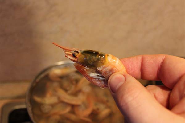 Signes de crevettes avariées