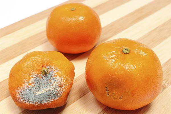 Signes d'une mandarine avariée