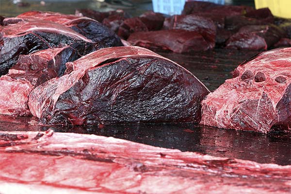 Anzeichen für verdorbenes Rindfleisch