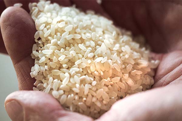 Signes d'un riz avarié