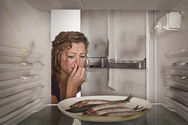 Comment déterminer si le poisson est avarié
