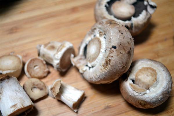 Wie stellen Sie fest, dass Champignons verdorben sind?