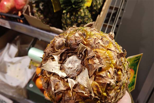 Comment savoir si un ananas est avarié