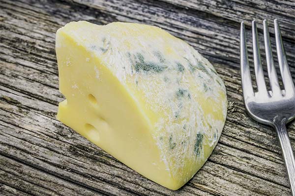 Comment déterminer si un fromage demi-dur est avarié