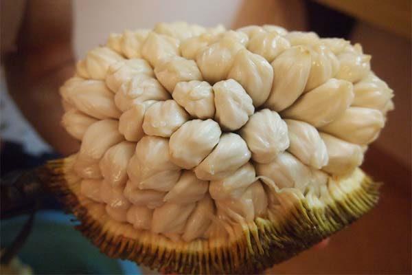 Comment déguster correctement le marang