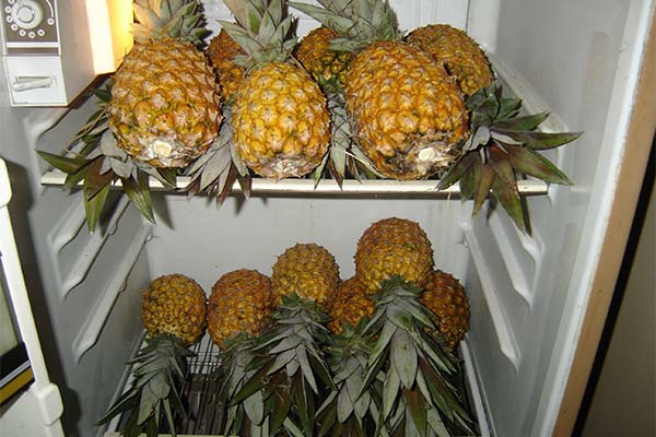 Comment bien conserver l'ananas