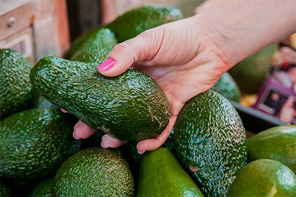 Comment choisir un avocat frais lors de l'achat