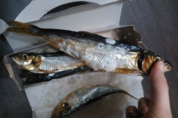 Peut-on manger du poisson avarié ?