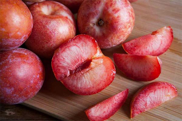 Plumcot