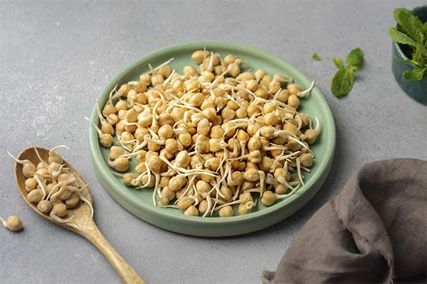 Nutzen und Schaden von gekeimten Kichererbsen