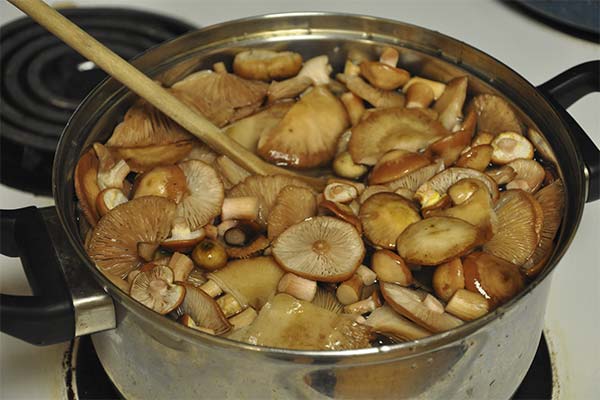 Combien de temps faire cuire les champignons