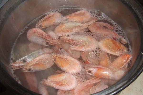 Combien de temps faire cuire les crevettes