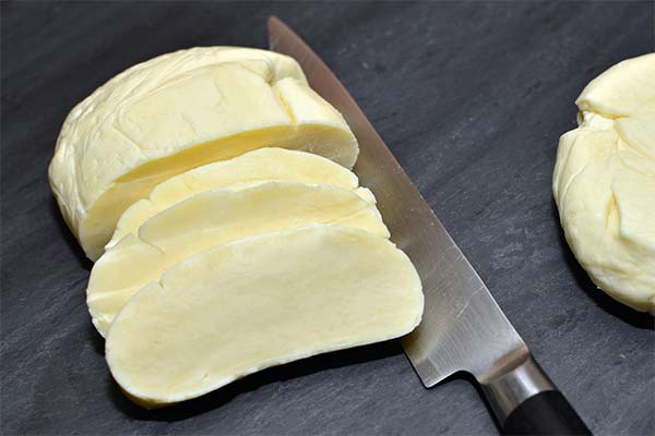 Wofür ist Suluguni-Käse nützlich