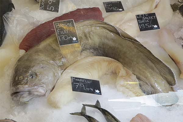 Wozu ist der Fisch Menjok gut