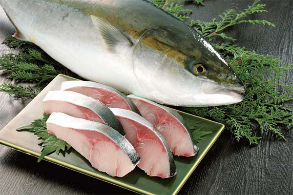 Wie gesund ist das Fleisch des Gelbschwanz-Lakedra