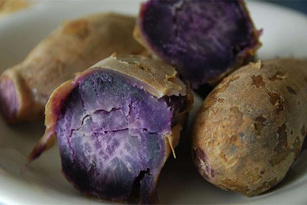Pommes de terre violettes en robe des champs
