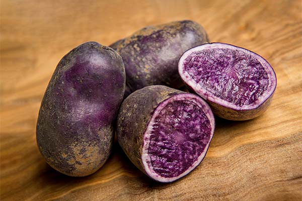 Pomme de terre violette