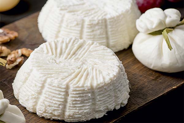 Wie man Ricotta herstellt