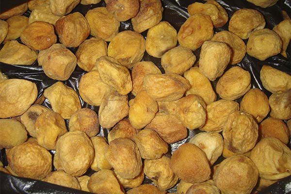 Trockenaprikosen auswählen und lagern
