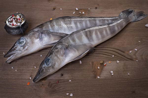 Eisfisch
