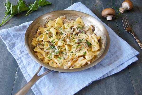 Farfalle-Pasta mit Pilzen